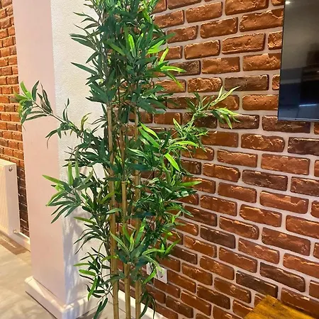 Апартаменты Luxurioese Loft Mit Garten Naehe Duesseldorf Messe Крефельд