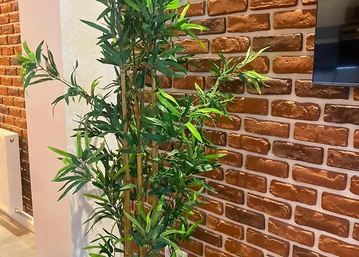 Appartement Luxurioese Loft Mit Garten Naehe Duesseldorf Messe Krefeld